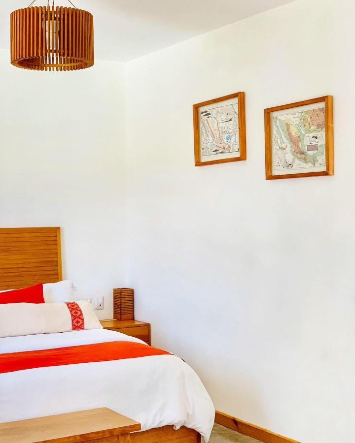 ホテル Casa Cafeologo San Cristóbal de Las Casas エクステリア 写真