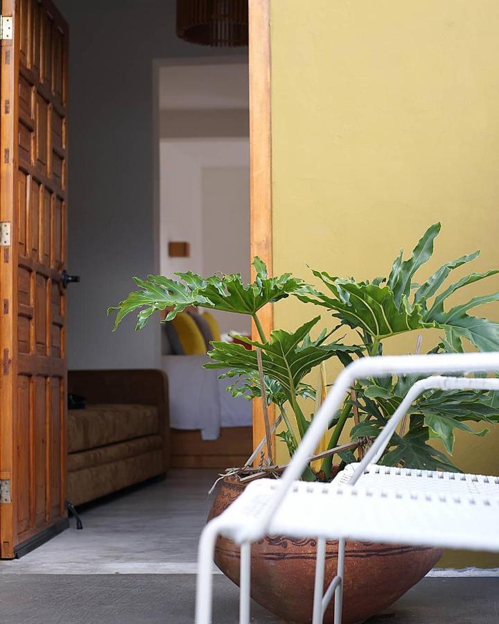ホテル Casa Cafeologo San Cristóbal de Las Casas エクステリア 写真