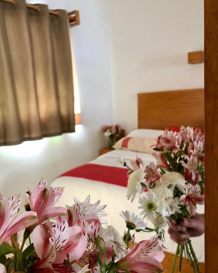 ホテル Casa Cafeologo San Cristóbal de Las Casas エクステリア 写真