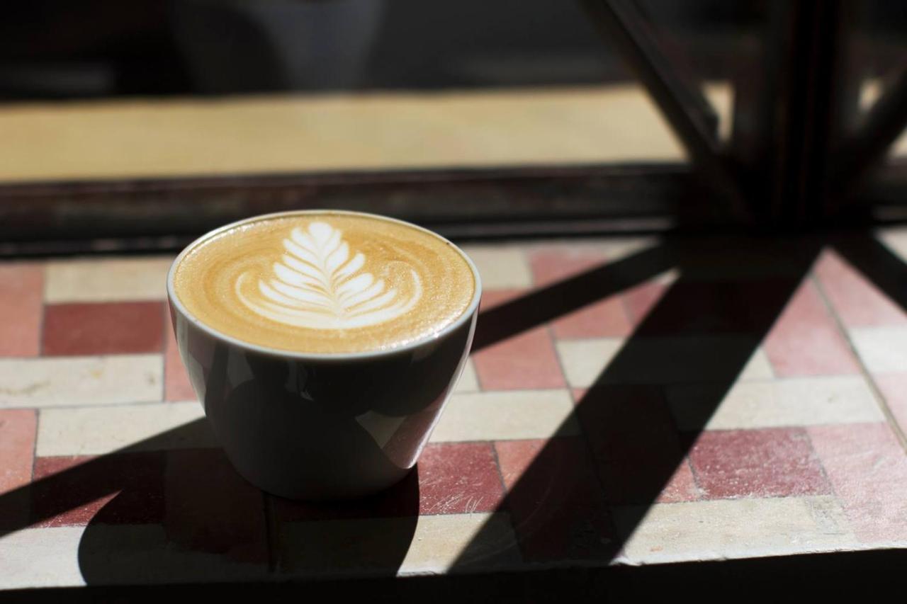 ホテル Casa Cafeologo San Cristóbal de Las Casas エクステリア 写真